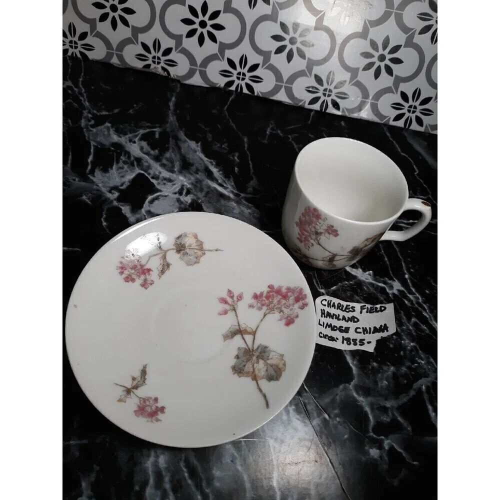 Charles Field Haviland Limoge  tea set